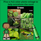Colors of the Week: Green Mini Book
