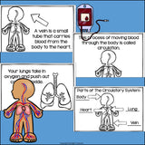 Human Body Systems: Circulatory System Mini Book for Early Readers