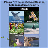 Hawaii Mini Book for Early Readers - A State Study