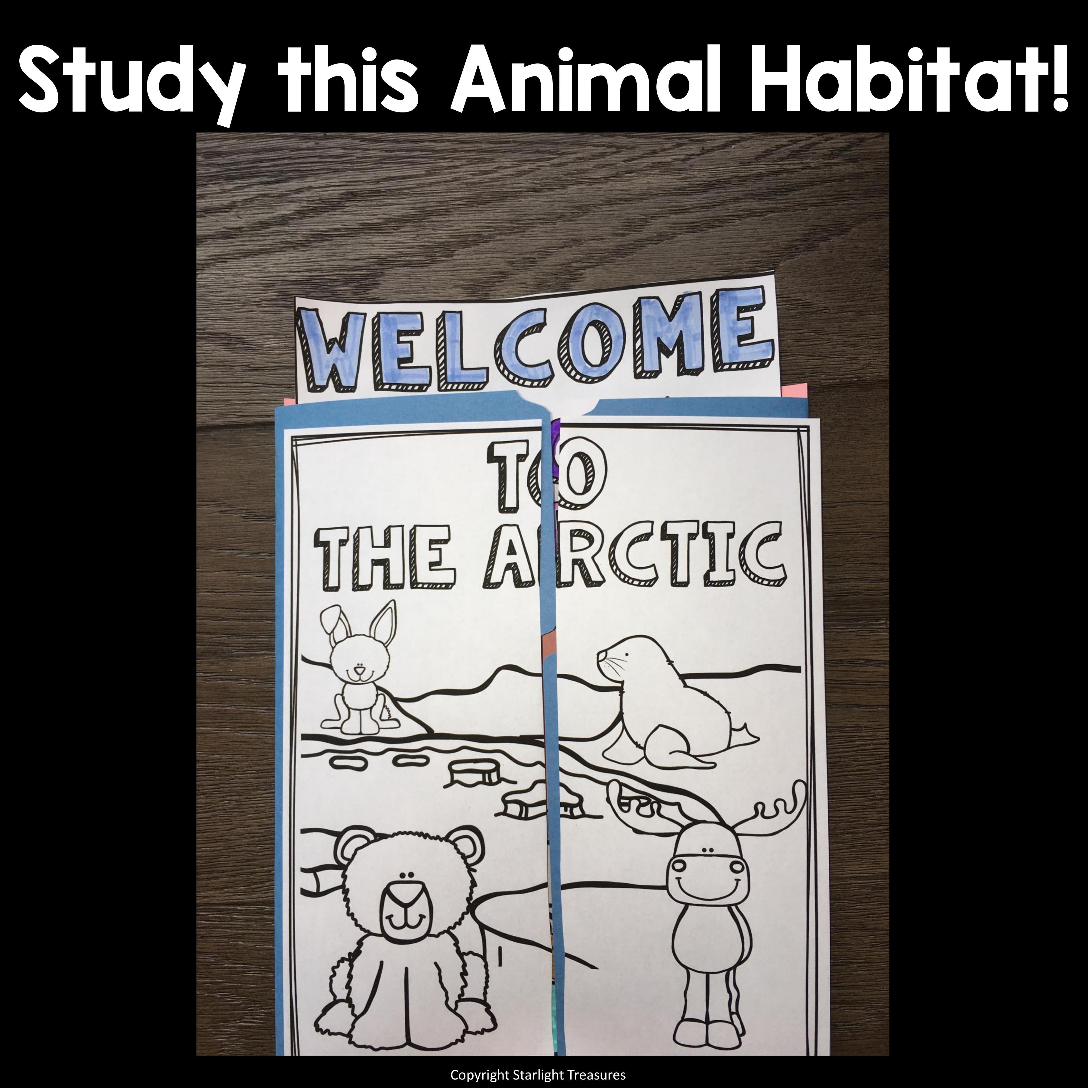 Arctic Lapbook for Early Learners - Animal Habitats