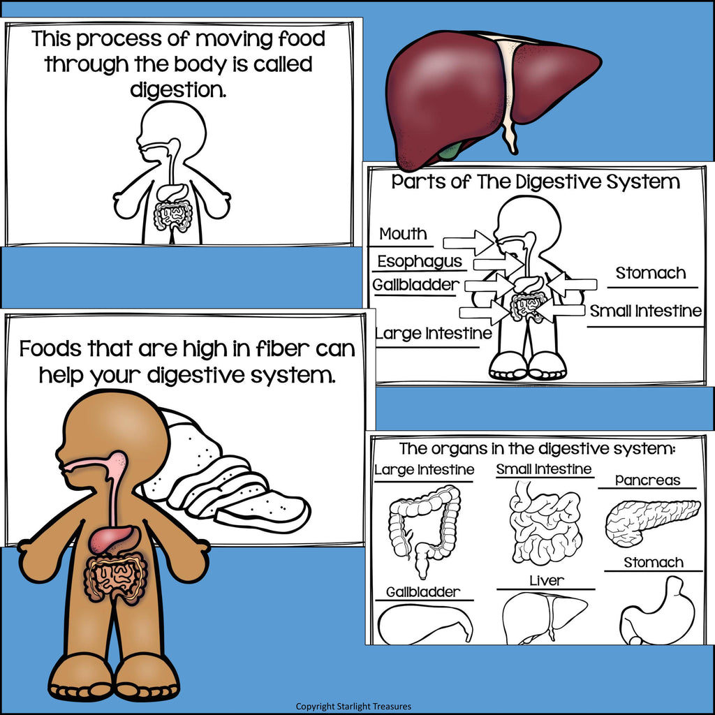 Human Body Systems: Digestive System Mini Book for Early Readers