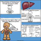 Human Body Systems: Digestive System Mini Book for Early Readers