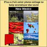 New Mexico Mini Book for Early Readers - A State Study