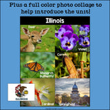 Illinois Mini Book for Early Readers - A State Study