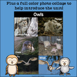 Owls Mini Book for Early Readers