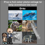 Colors of the Week: Gray/Grey Mini Book