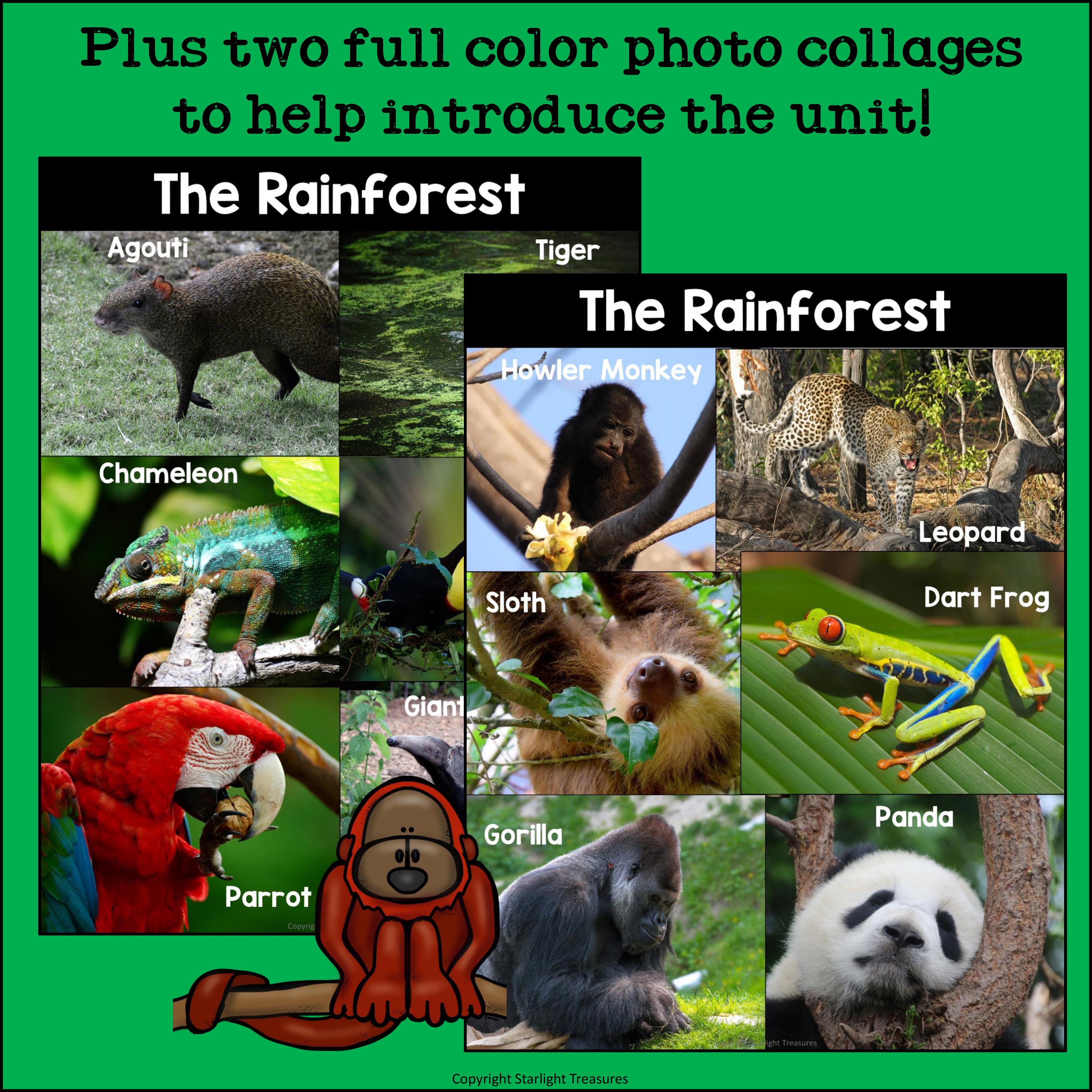 The Rainforest Mini Book for Early Readers: Rainforest Animals