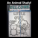 Owls Lapbook for Early Learners 