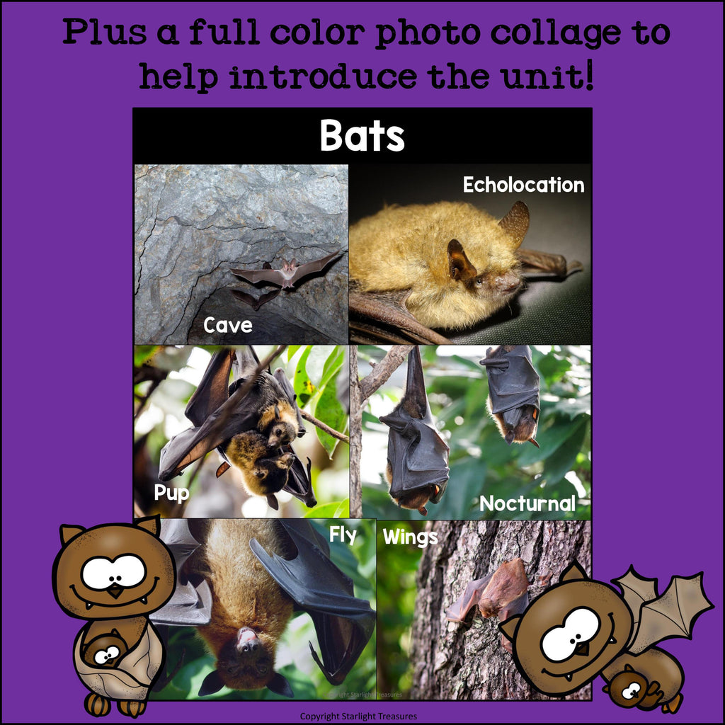 Bats Mini Book for Early Readers