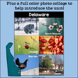 Delaware Mini Book for Early Readers - A State Study