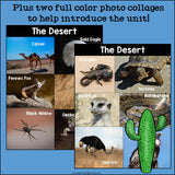 The Desert Mini Book for Early Readers: Desert Animals