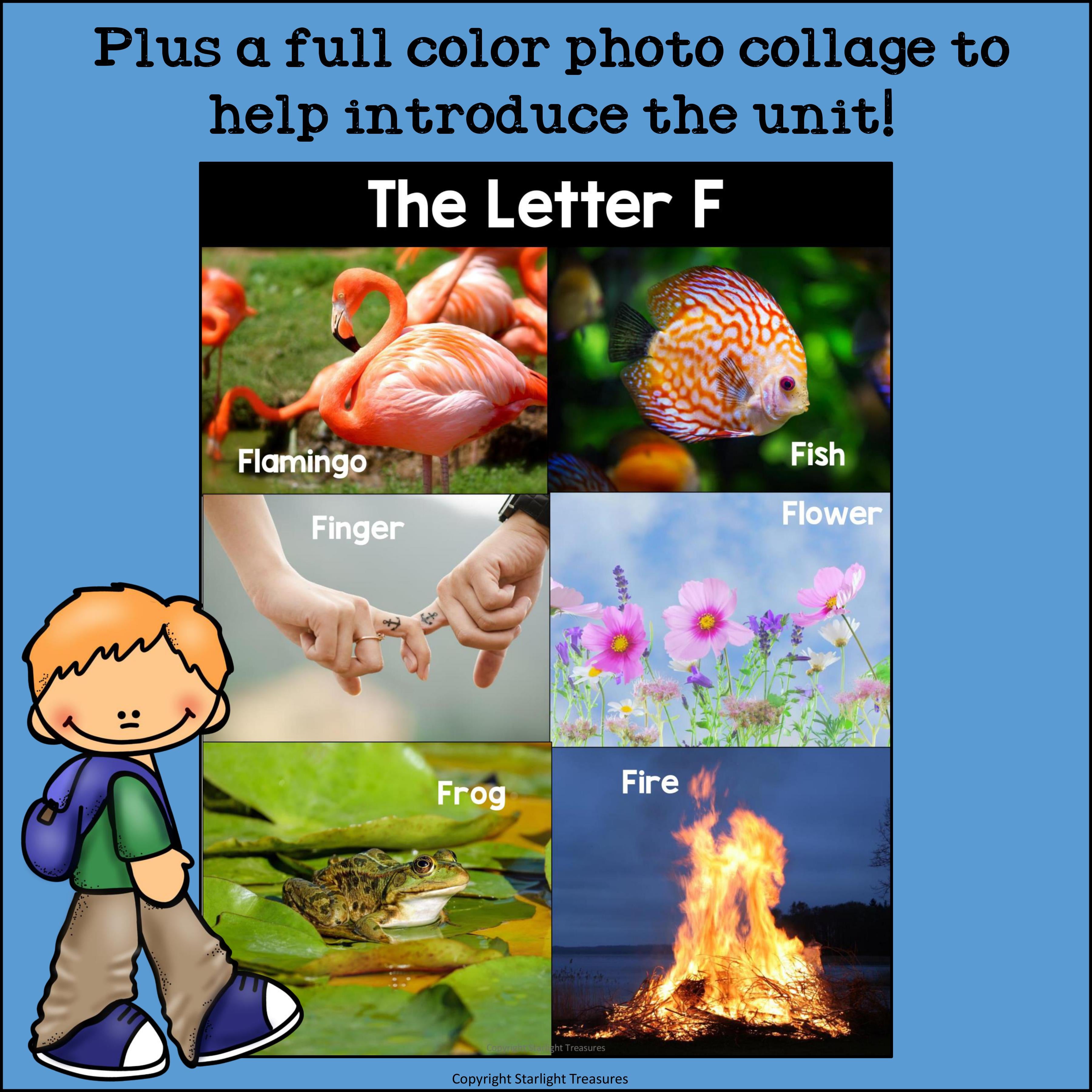 Letter F Mini Book