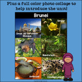 Brunei Mini Book for Early Readers - A Country Study