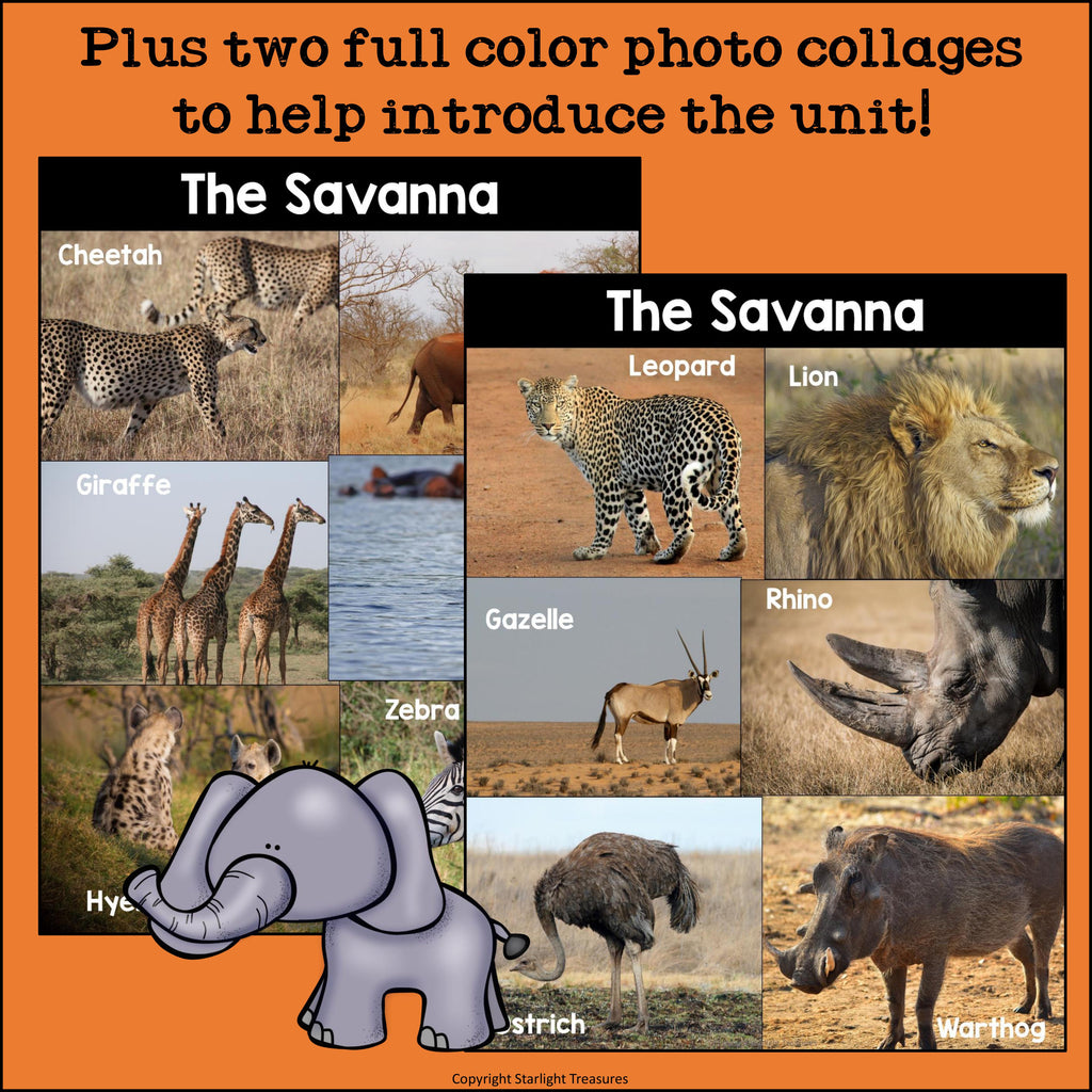 The Savanna Mini Book for Early Readers: Savanna Animals