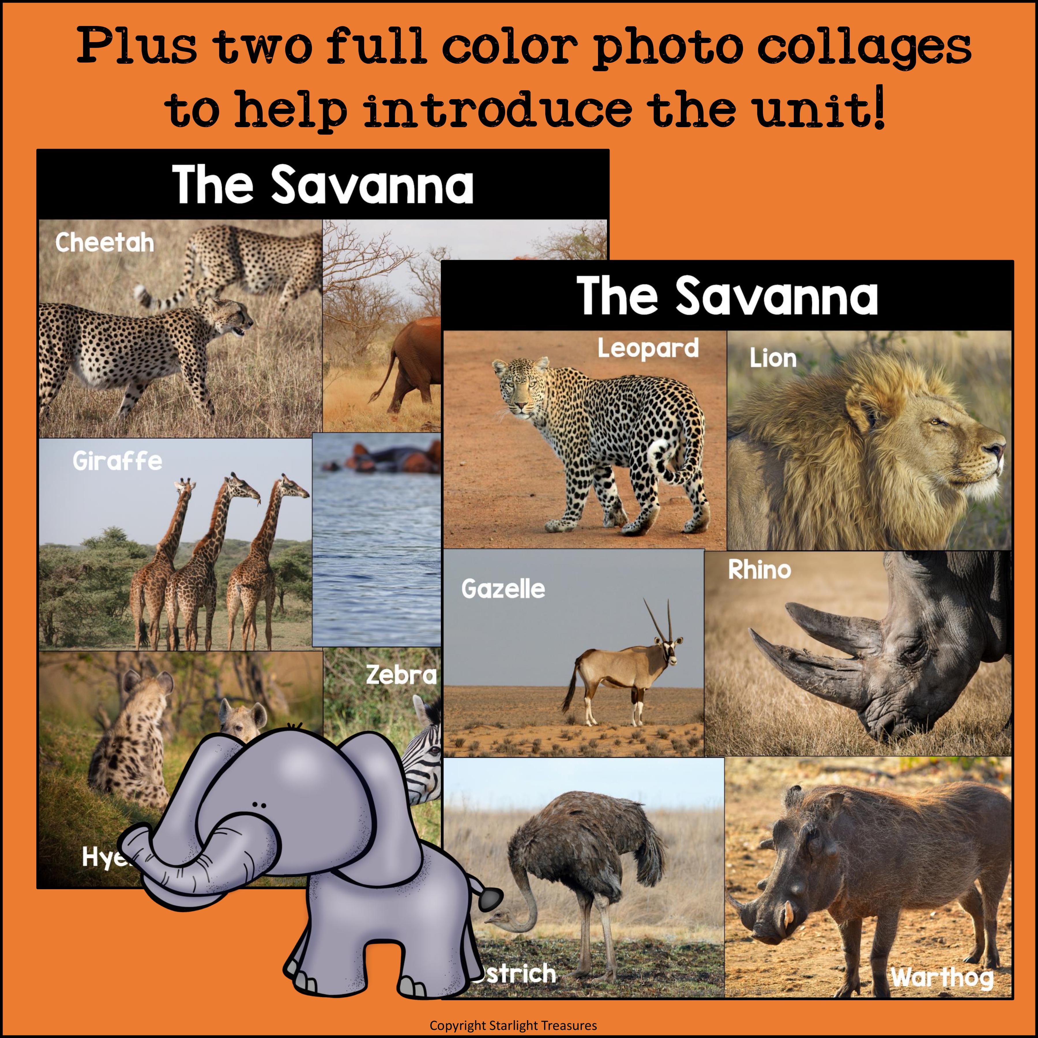 The Savanna Mini Book for Early Readers: Savanna Animals