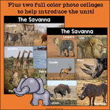 The Savanna Mini Book for Early Readers: Savanna Animals