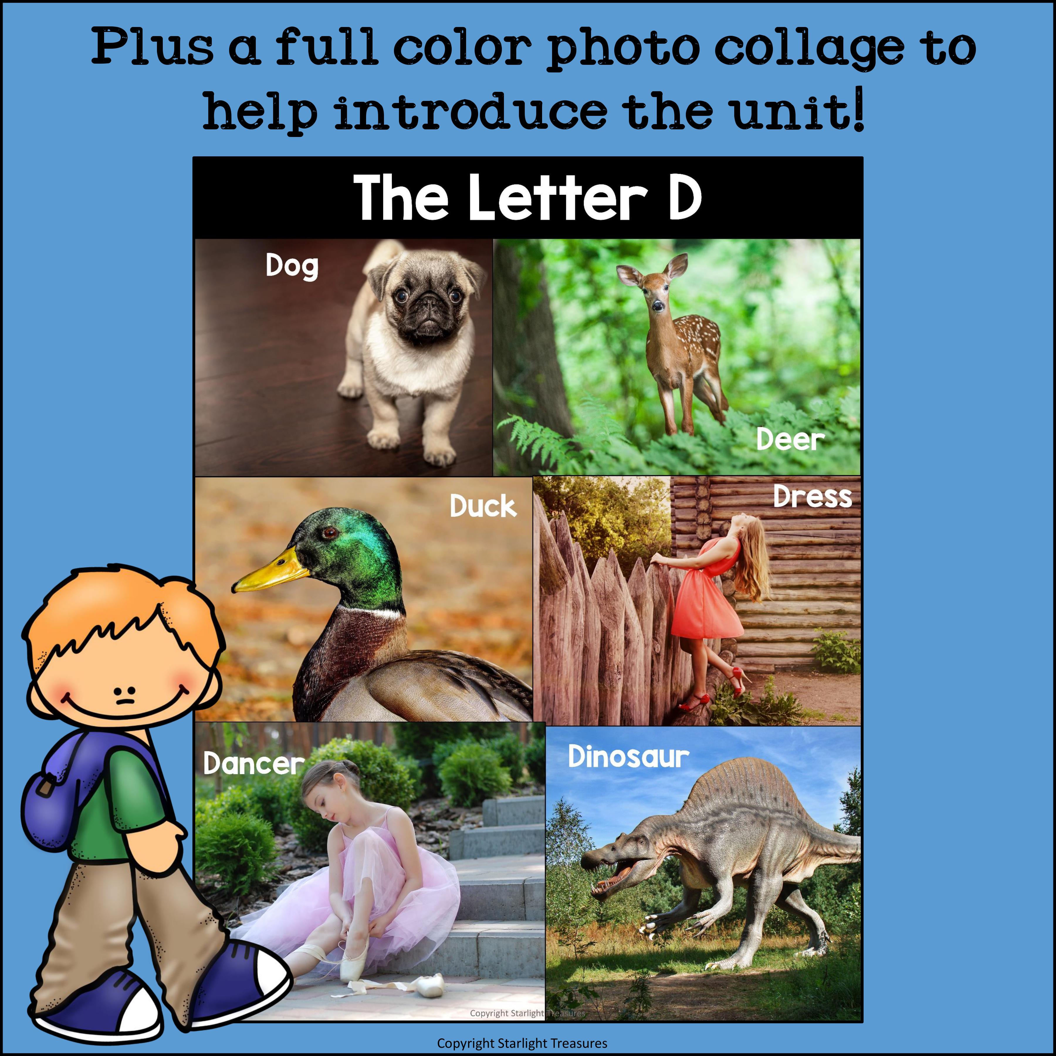 Letter D Mini Book