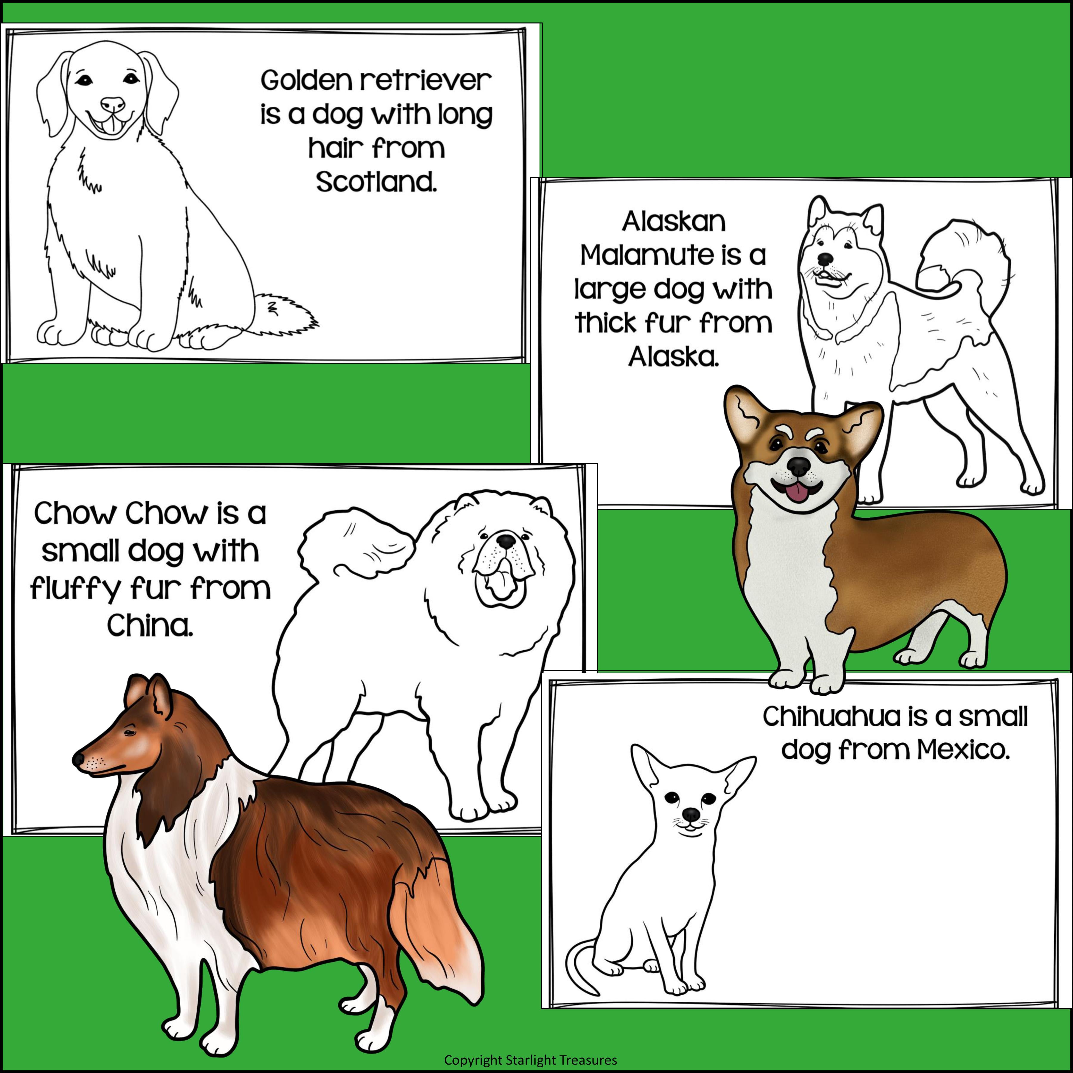 Dogs Mini Book for Early Readers