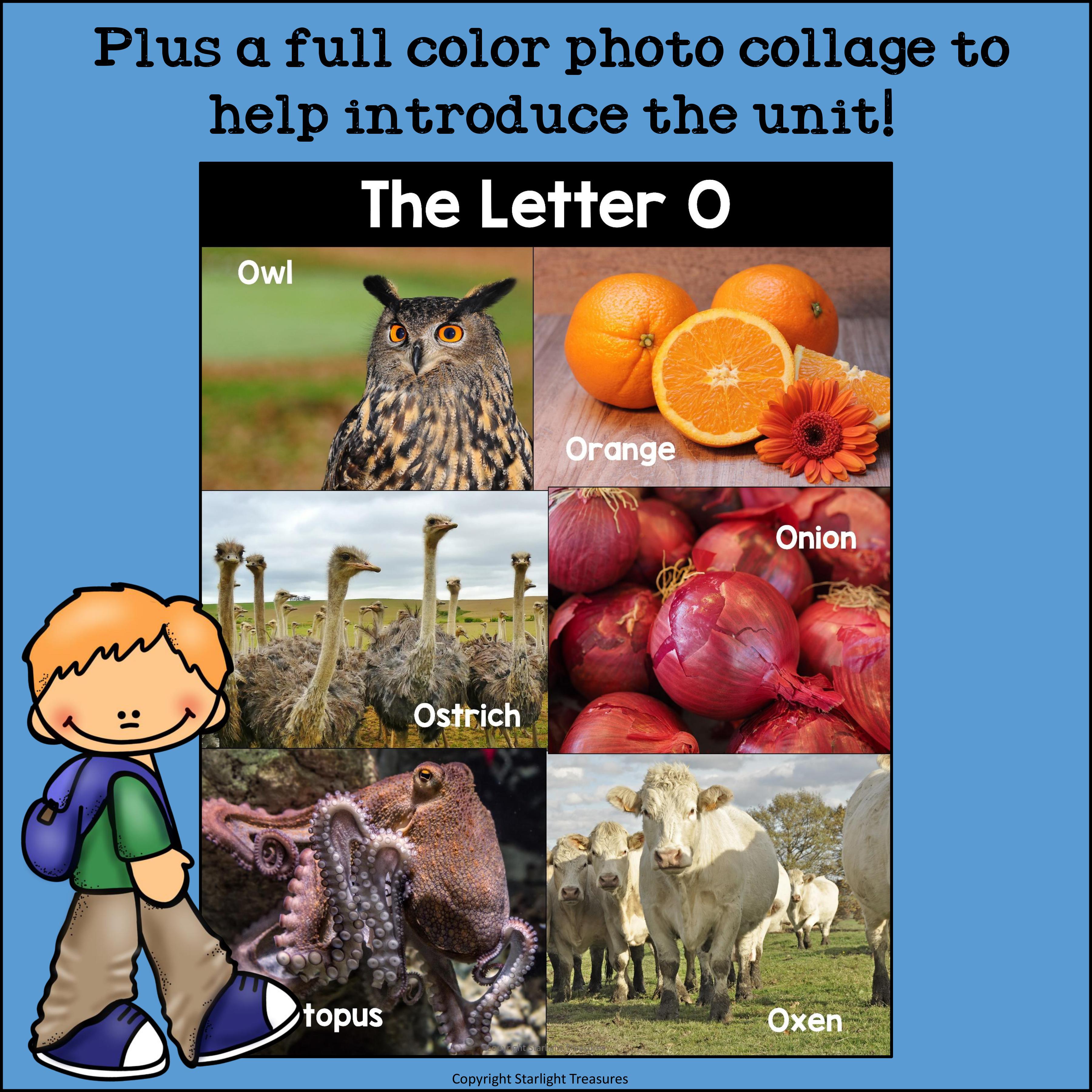 Alphabet Letter of the Week: The Letter O Mini Book
