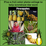 Pineapples Mini Book for Early Readers