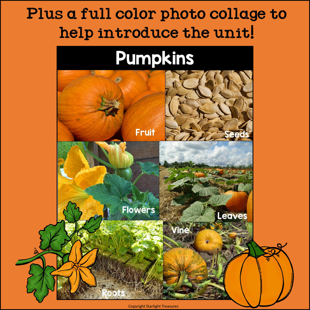 Pumpkins Mini Book for Early Readers