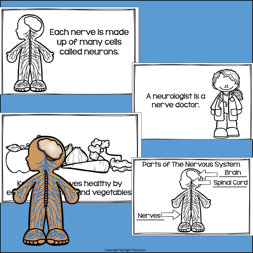 Human Body Systems: Nervous System Mini Book for Early Readers