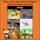Foxes Mini Book for Early Readers