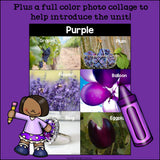 Colors of the Week: Purple Mini Book