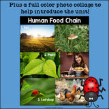 Human Food Chain Mini Book for Early Readers - Food Chains