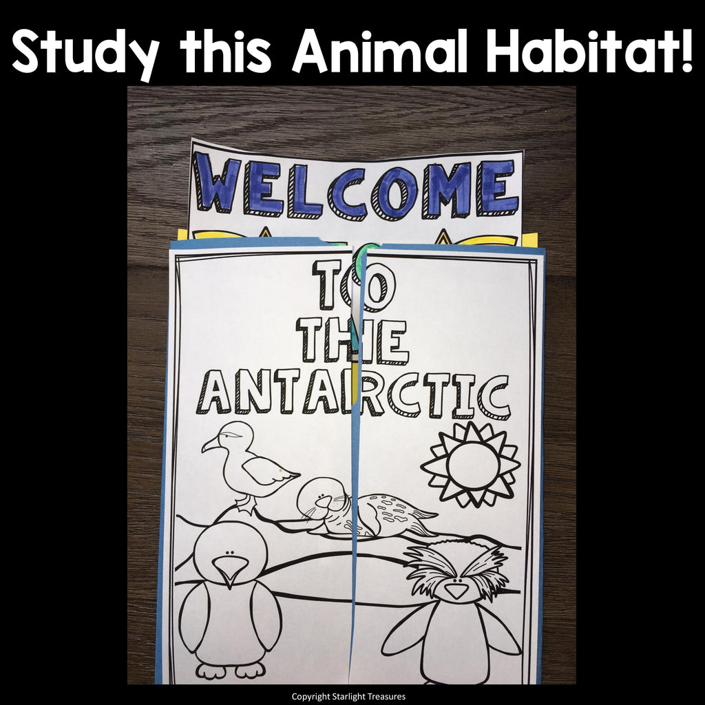 Antarctic Lapbook for Early Learners