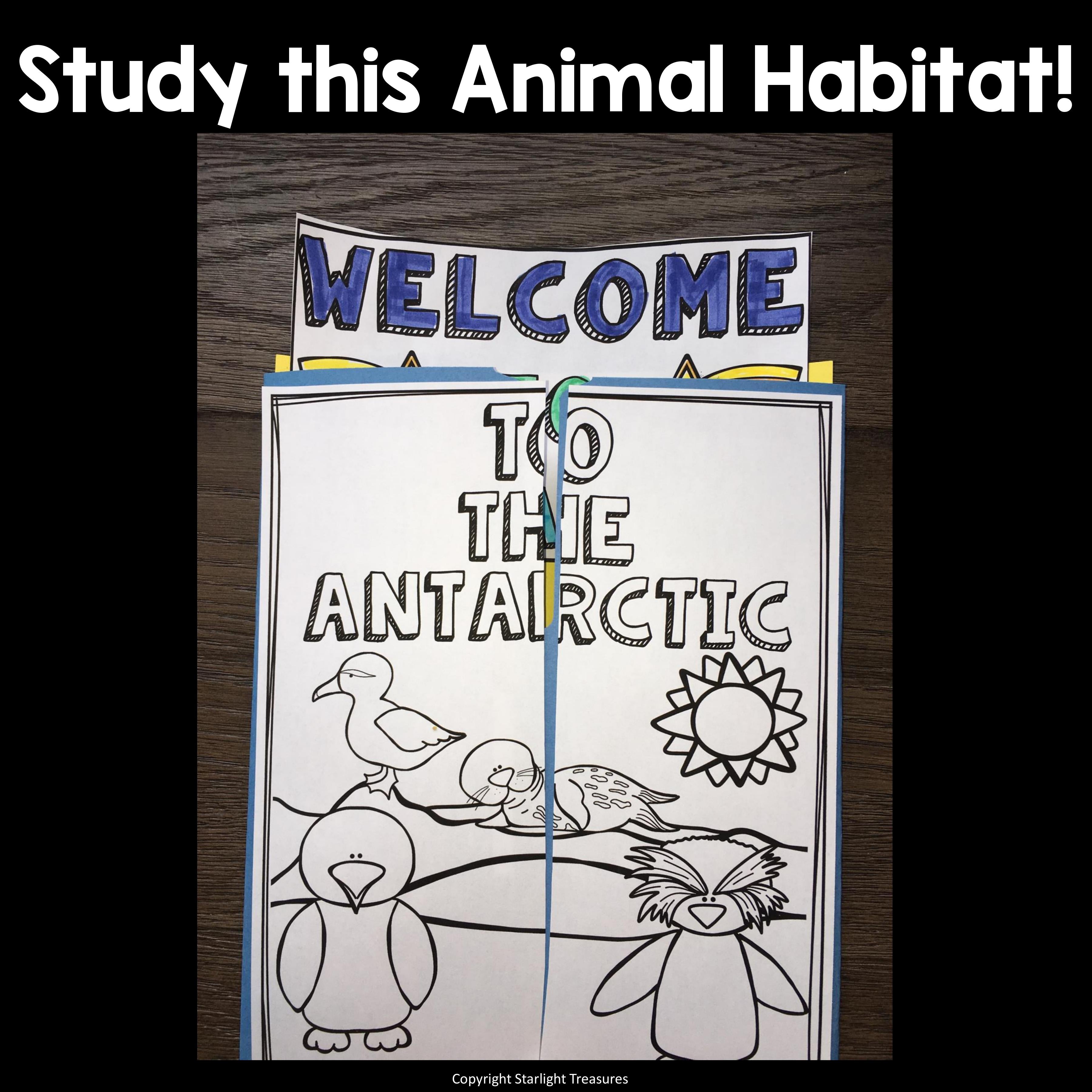 Antarctic Lapbook for Early Learners