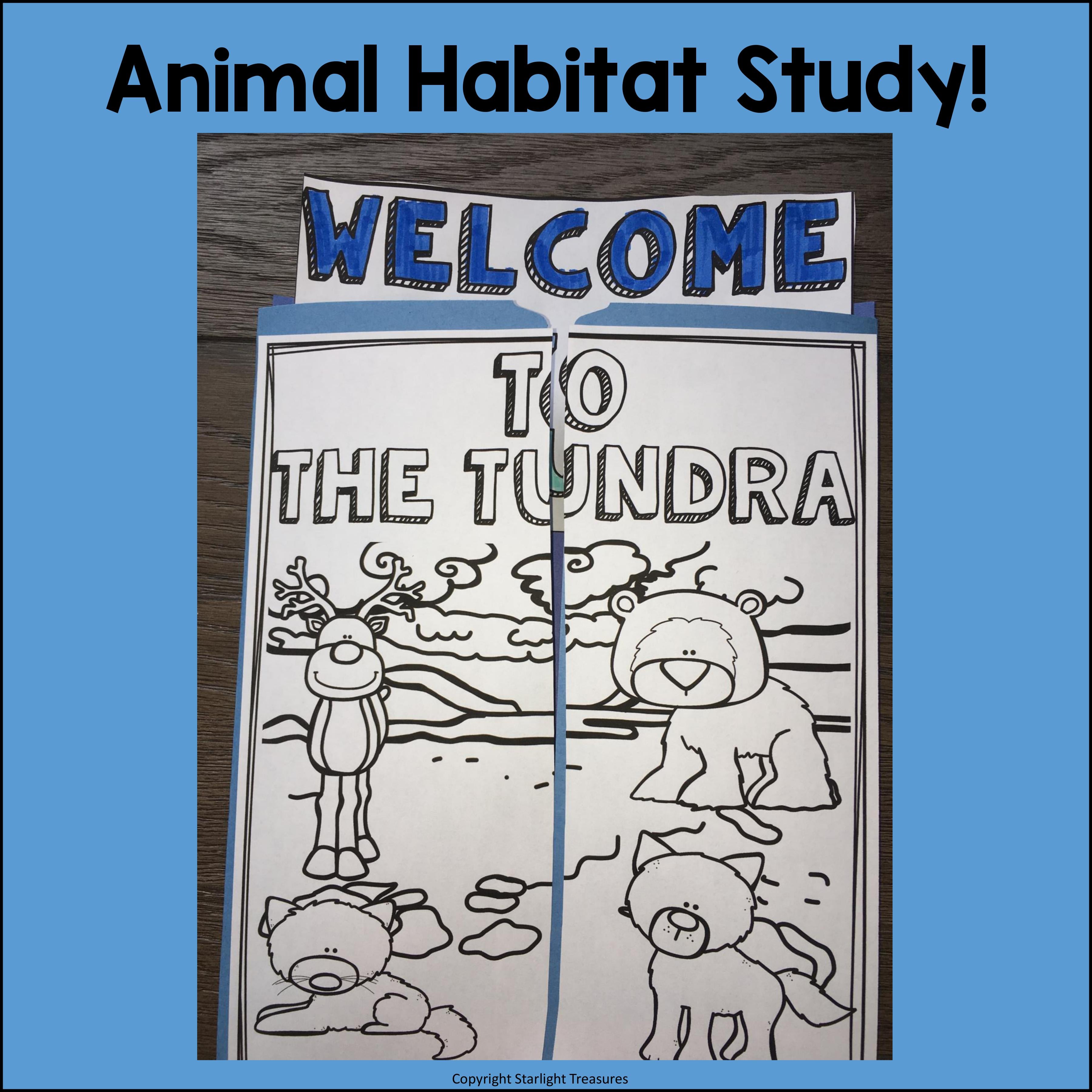 Tundra Lapbook for Early Learners - Animal Habitats