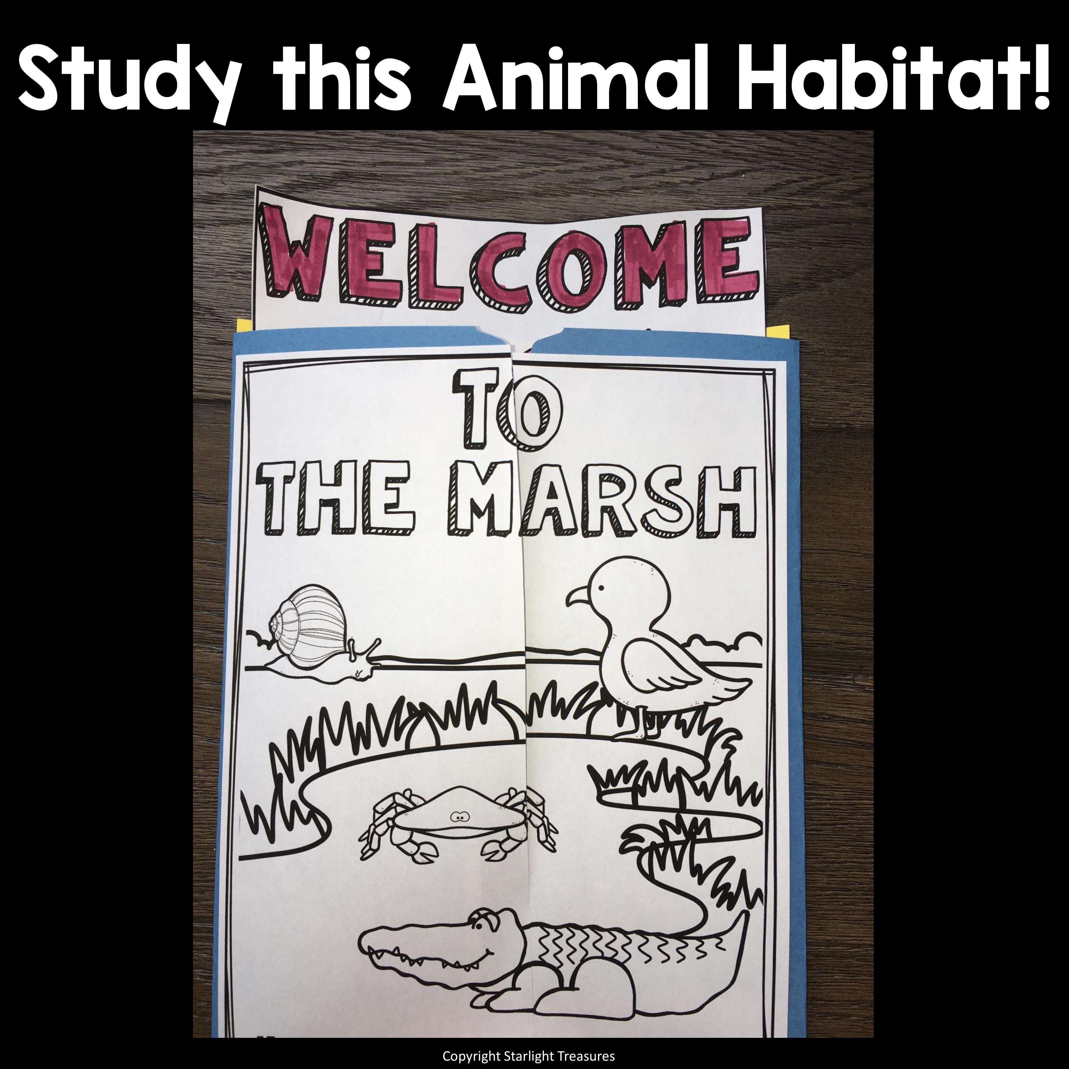 Marsh Lapbook for Early Learners - Animal Habitats