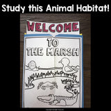 Marsh Lapbook for Early Learners - Animal Habitats