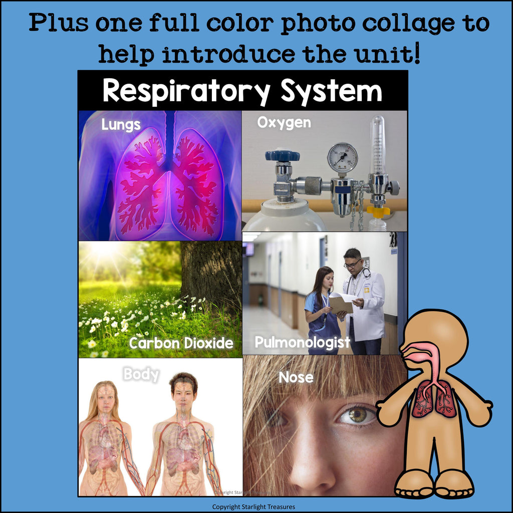 Human Body Systems: Respiratory System Mini Book for Early Readers