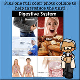 Human Body Systems: Digestive System Mini Book for Early Readers